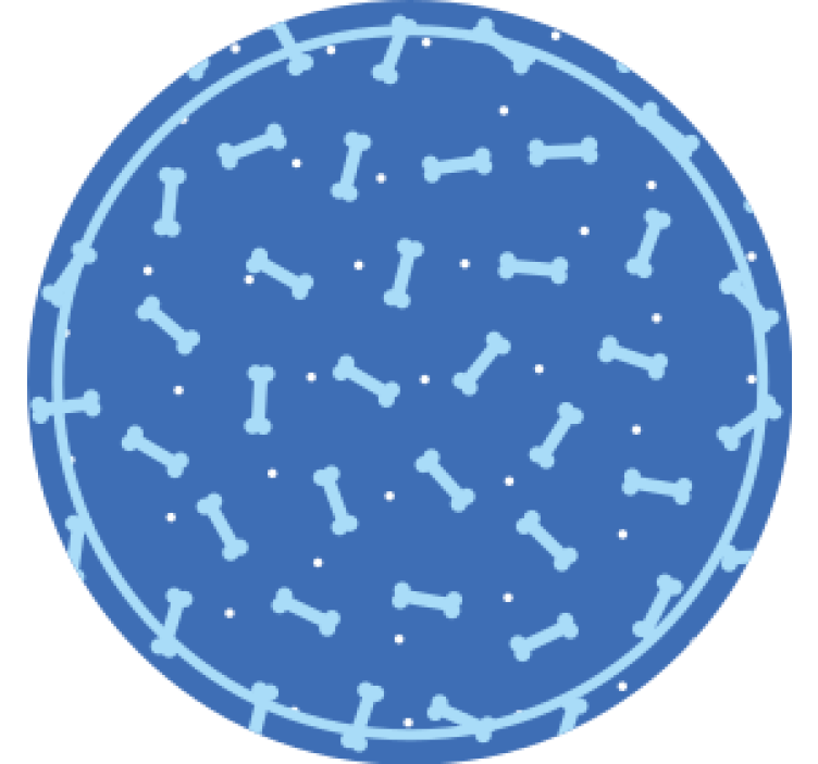 Bone pattern circle coaster - TenStickers