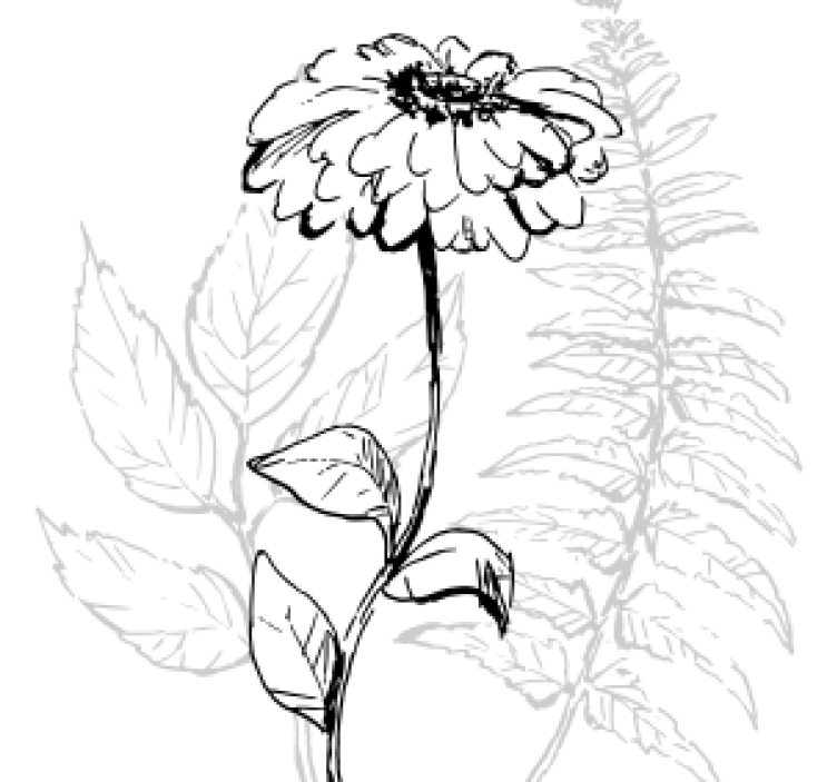 Botanical line art coaster - TenStickers