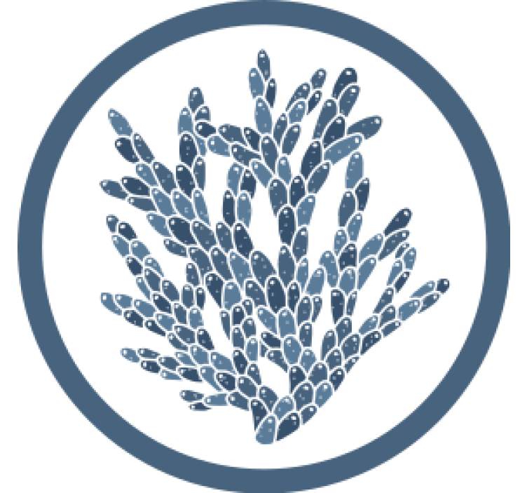 Abstract coral pattern coaster - TenStickers