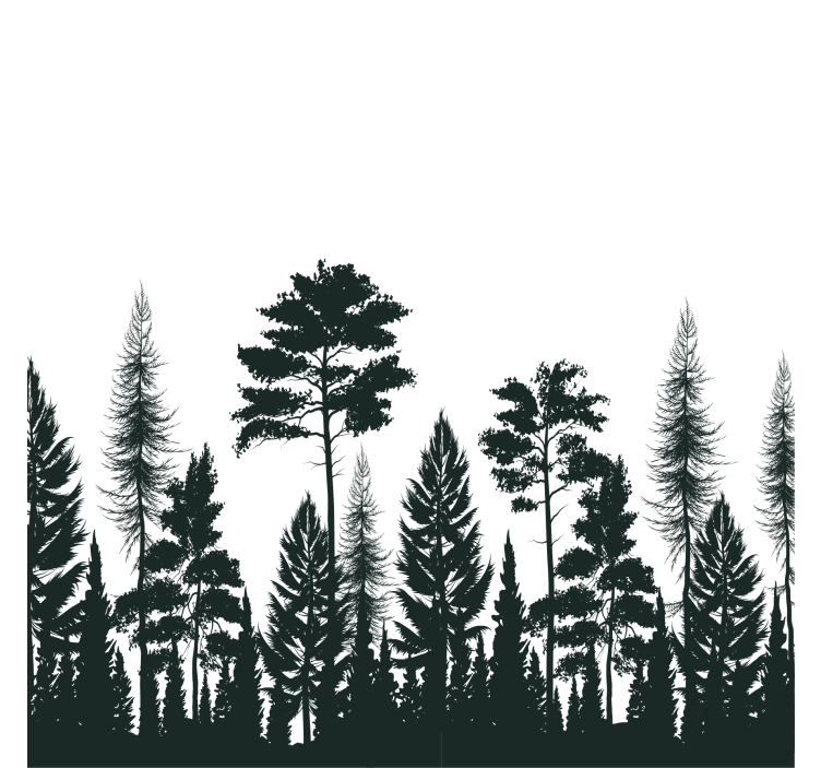 Coaster silhouette of tall pines - TenStickers