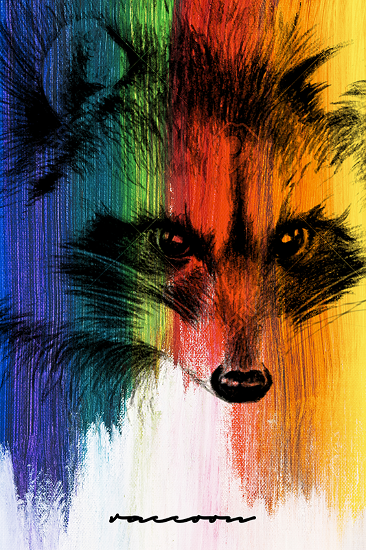 Living room poster rainbow raccoon art print - TenStickers