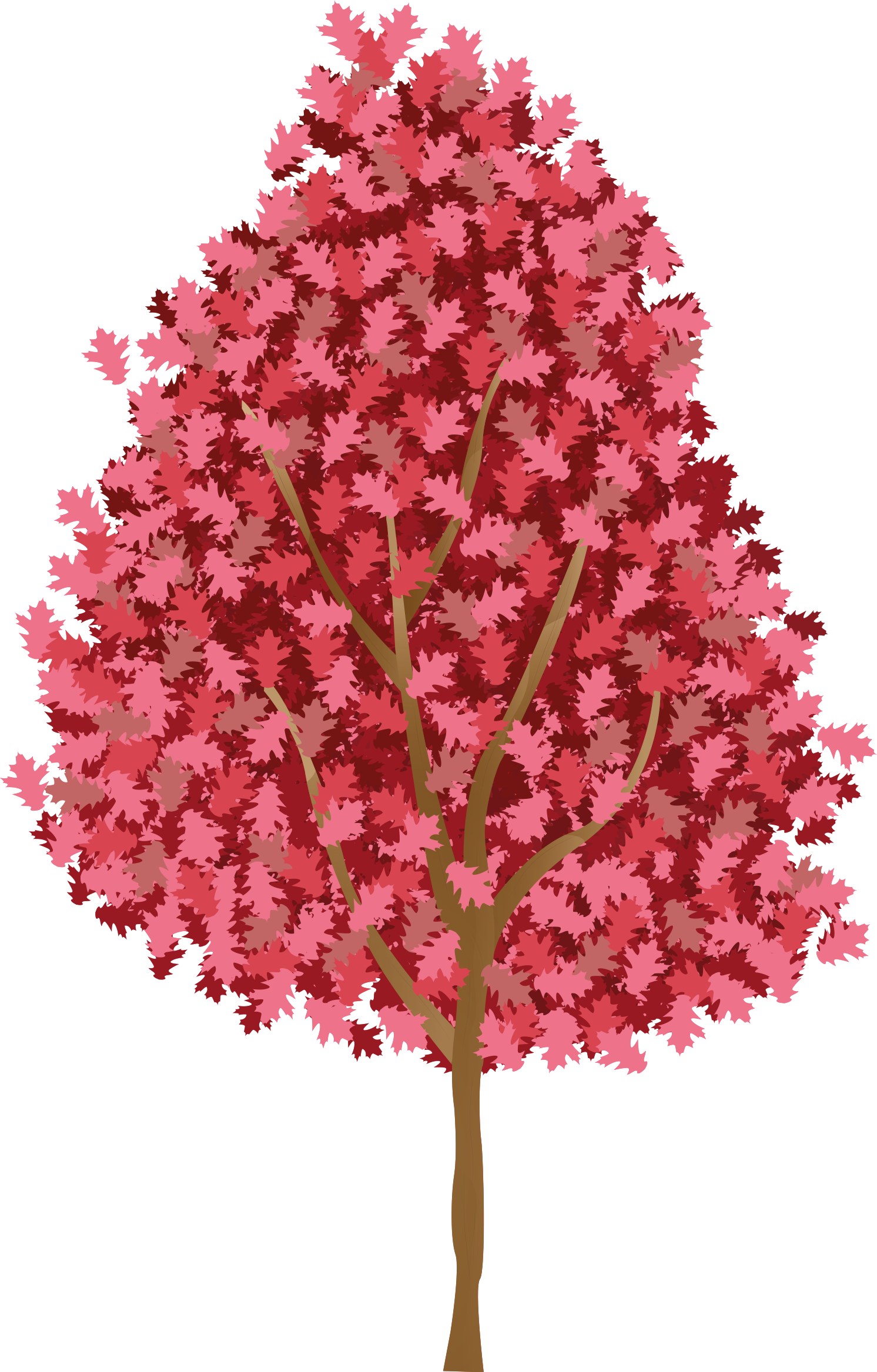 Tree poster of a tree with pink flowers - TenStickers