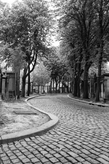 Landscape poster black and white path vinyl - TenStickers