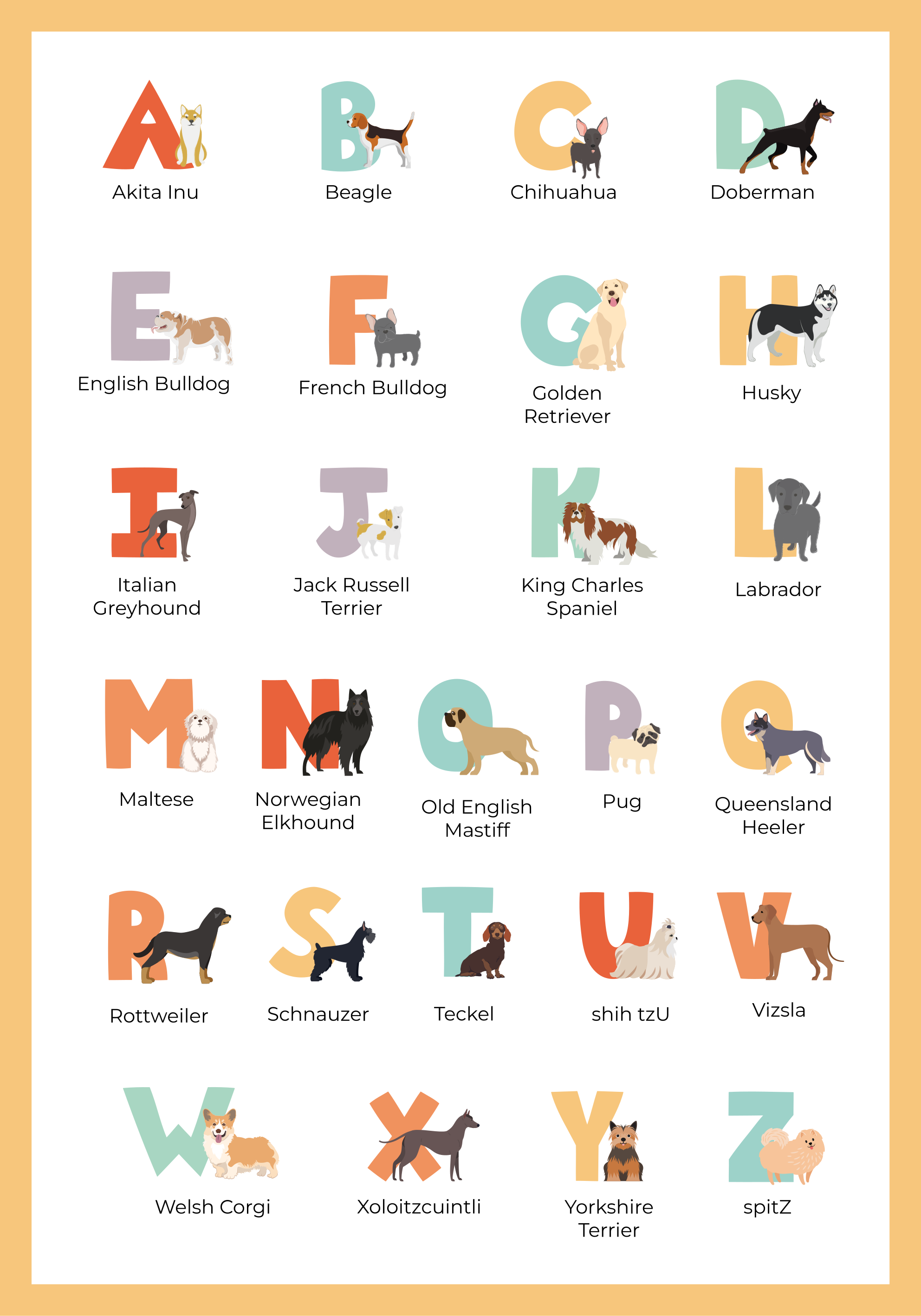dog breeds alphabet dog poster - TenStickers