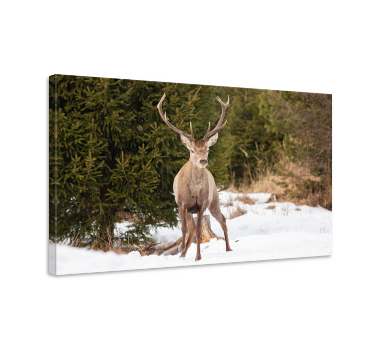 Stag canvas majestic stag in nature - TenStickers