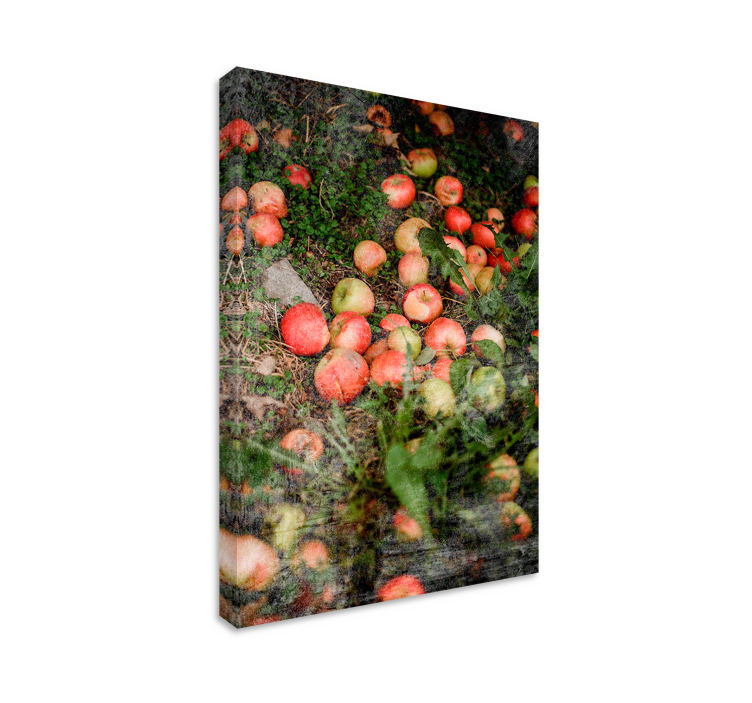 Fruit canvas wall art falling apples - TenStickers