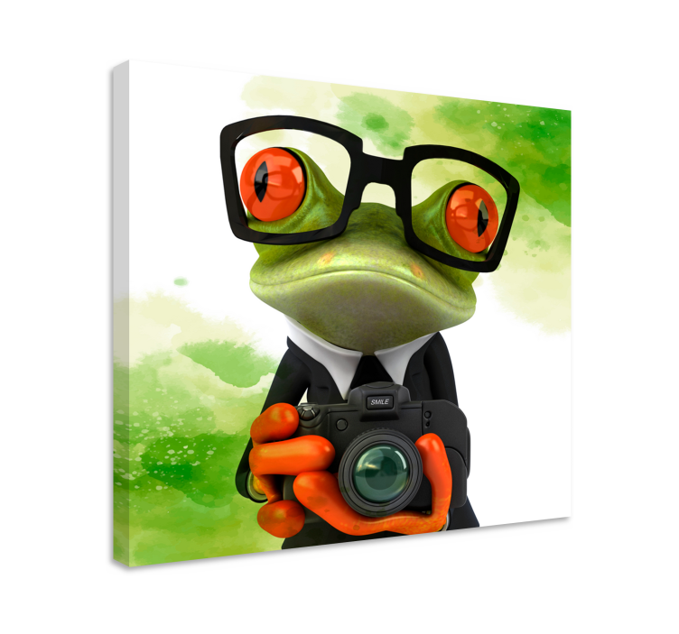 Photographer frog teen canvas prints - TenStickers