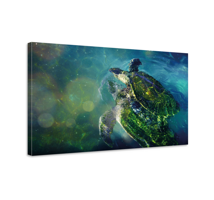 Nautical canvas art graceful sea turtle - TenStickers