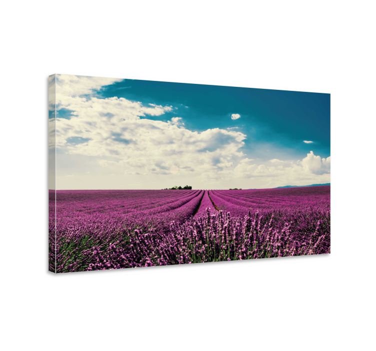 Heather sunfall flower canvas - TenStickers