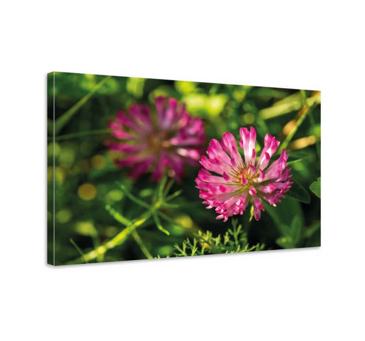 Pink Clove German flower flower canvas - TenStickers
