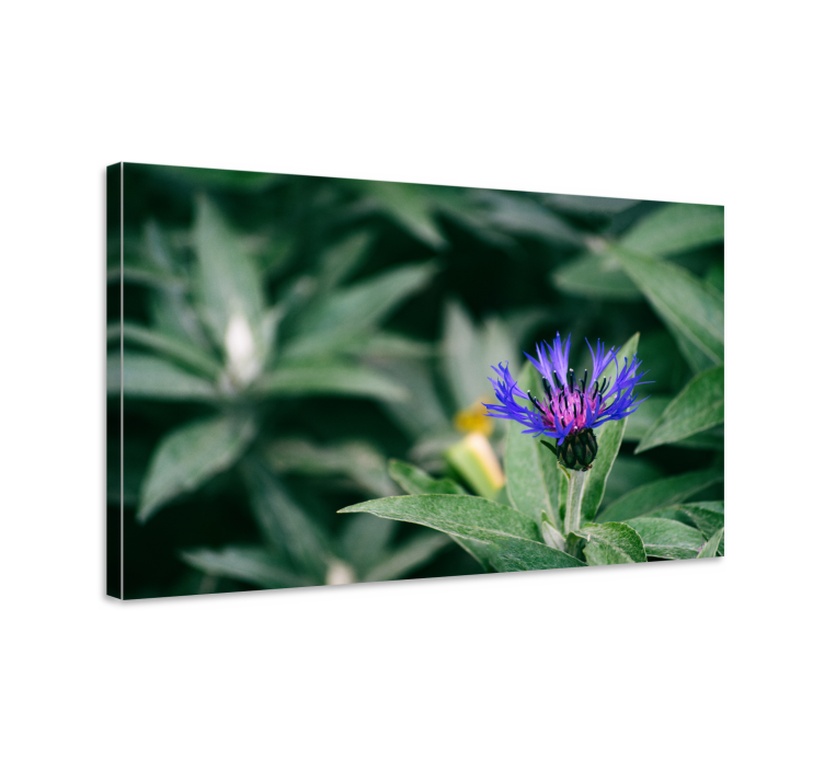 Flowers canvas delicate purple blossom art - TenStickers