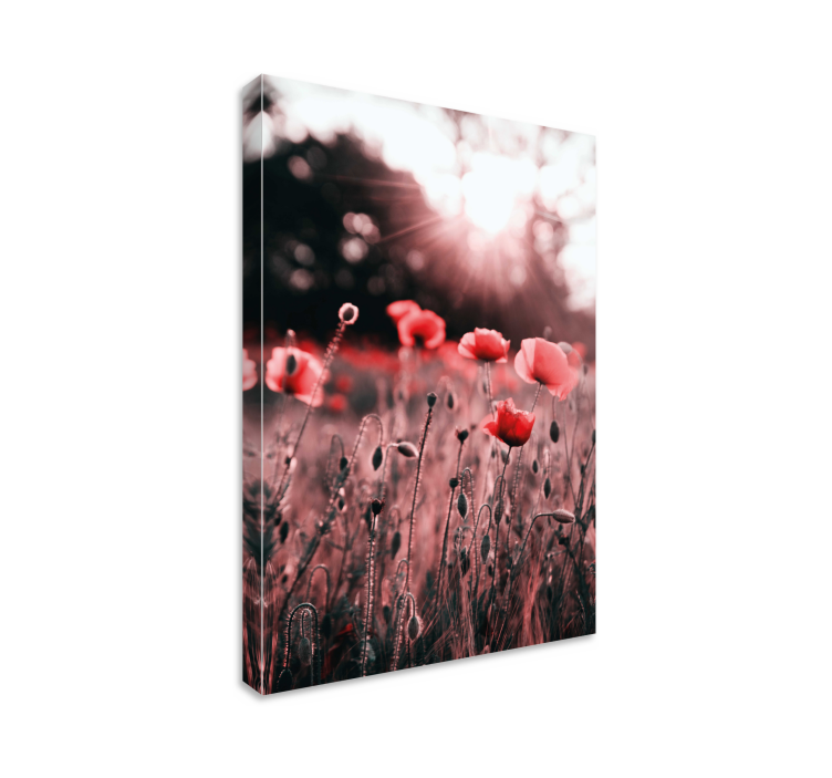Flowers canvas poppy meadow glow - TenStickers