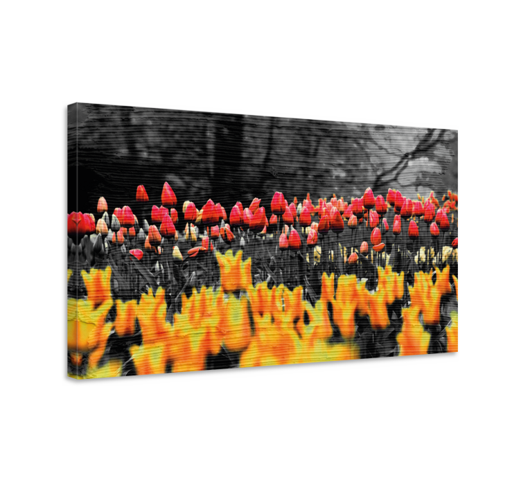 Flowers canvas colorful tulip garden art print - TenStickers