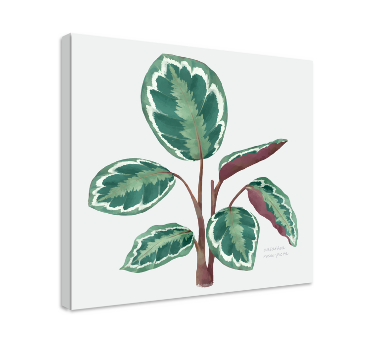 Vibrant Leafy Plant Flowers  canvas - TenStickers