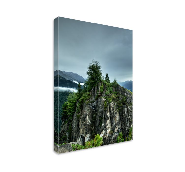 Single rock in green forest landscape canvas - TenStickers