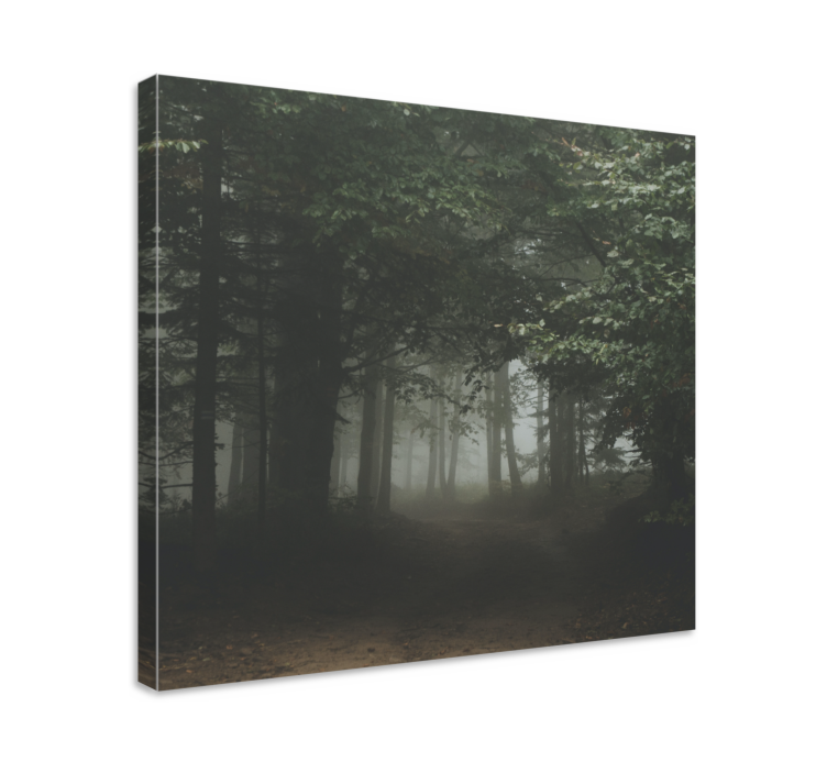 Landscape canvas veiled woodland trail - TenStickers