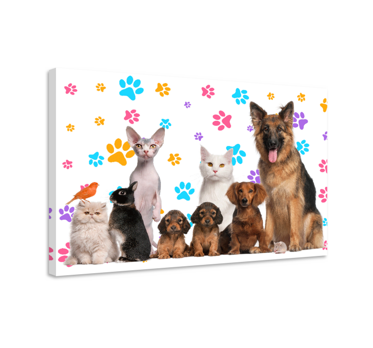 Dogs and cats animal canvas prints - TenStickers