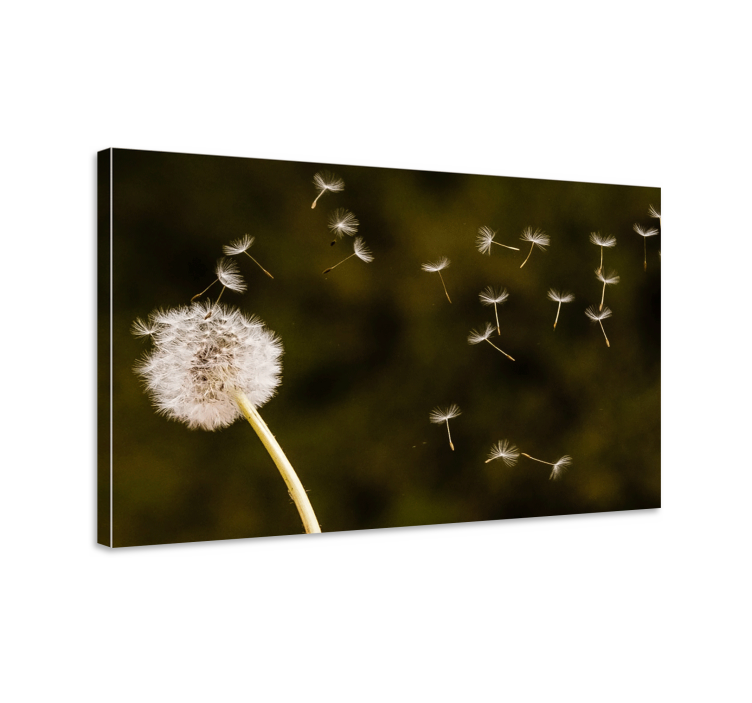 Flowers canvas dandelion seeds in the breeze - TenStickers
