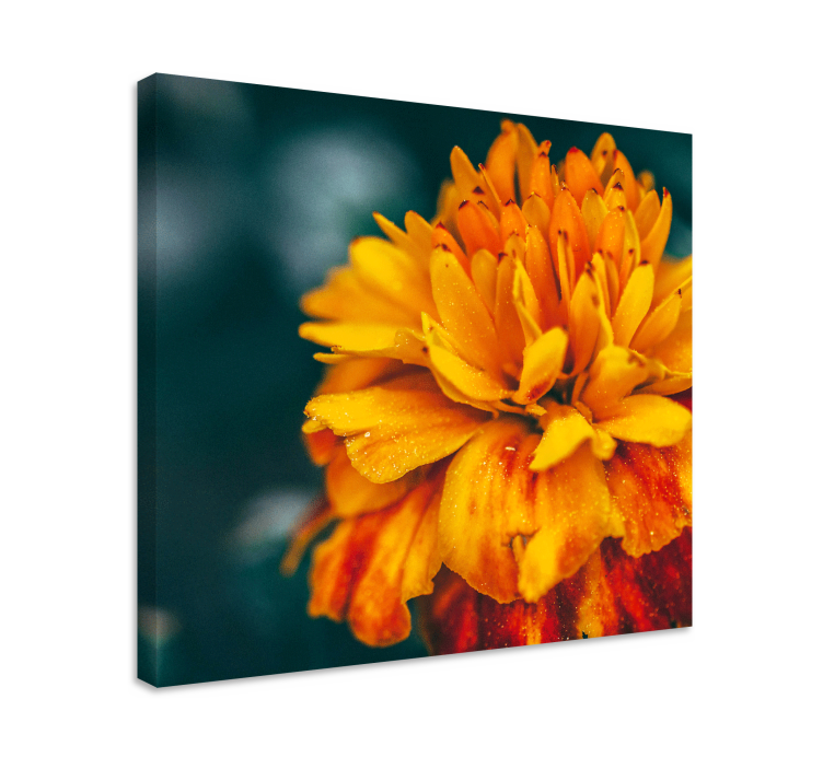 Flower canvas vibrant orange blossom artwork - TenStickers