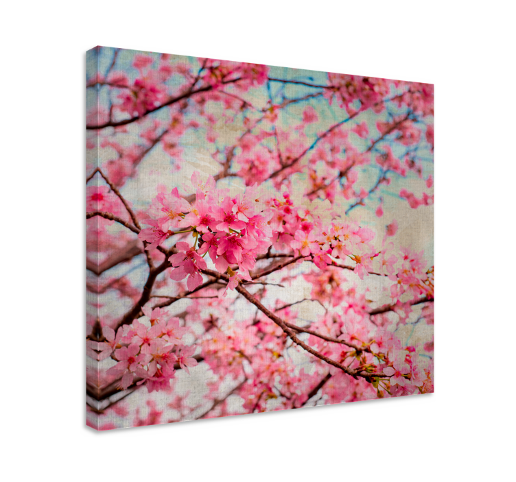Flowers canvas cherry blossom blooms - TenStickers