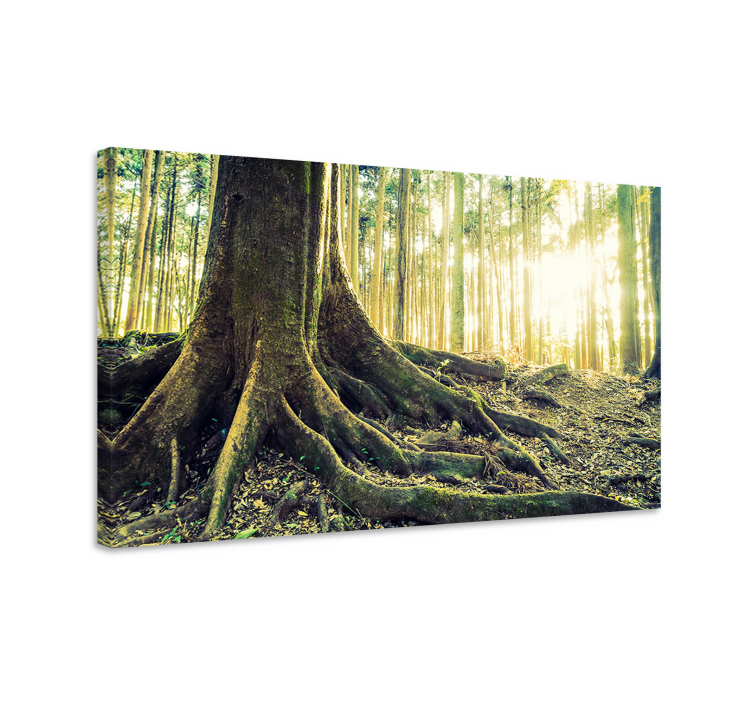 Majestic roots tree canvas wall art - TenStickers