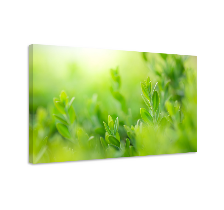 Flowers canvas lush greenery detail - TenStickers