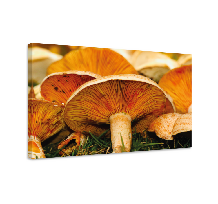 Flowers canvas with mushroom accents - TenStickers