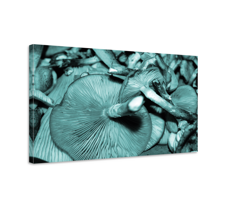 Flowers canvas mushroom expansion - TenStickers