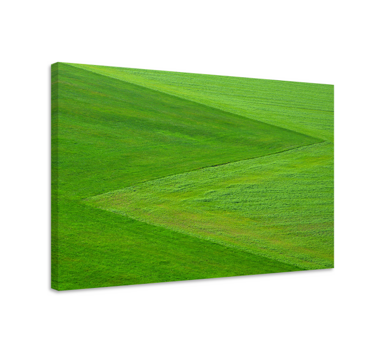 Green grass textured landscape canvas - TenStickers