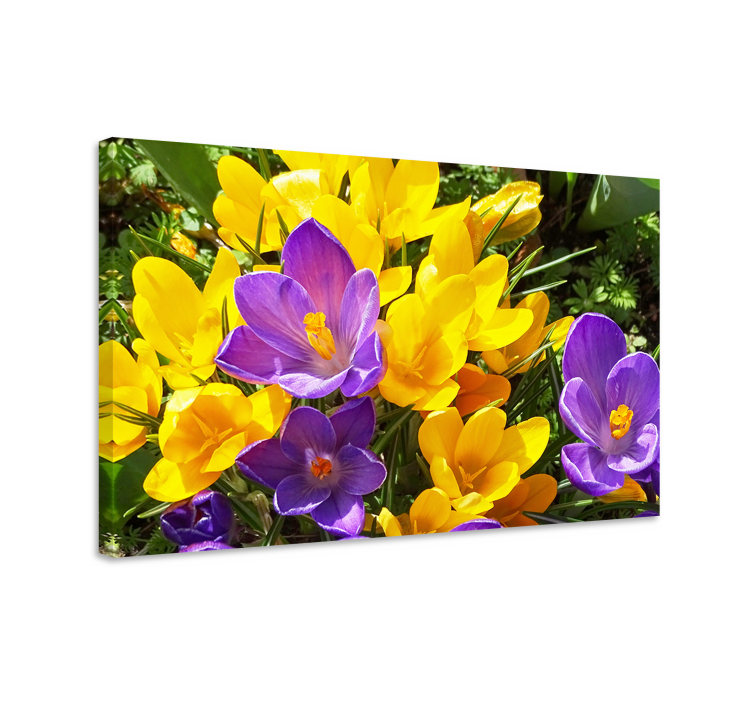 Flowers canvas colorful spring blooms - TenStickers