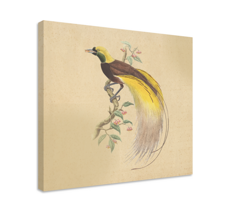 Exotic Perched bird canvas wall art - TenStickers