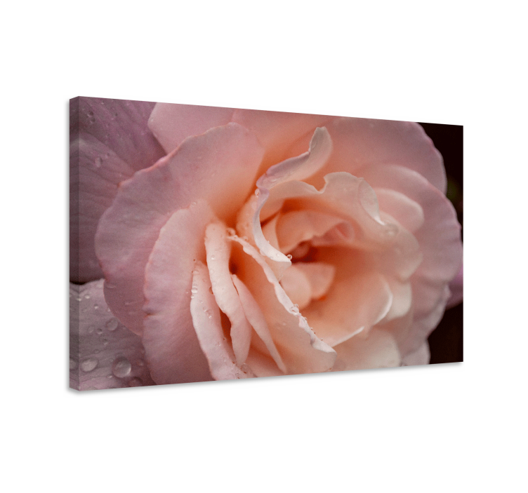 Flowers canvas delicate rose bloom artwork - TenStickers