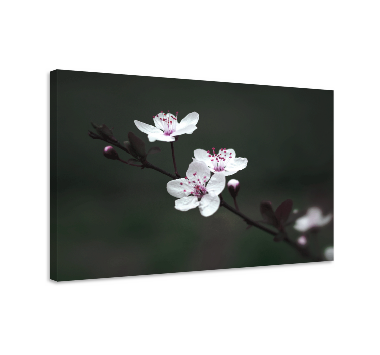 Elegant feminin cherry blossom flower canvas - TenStickers