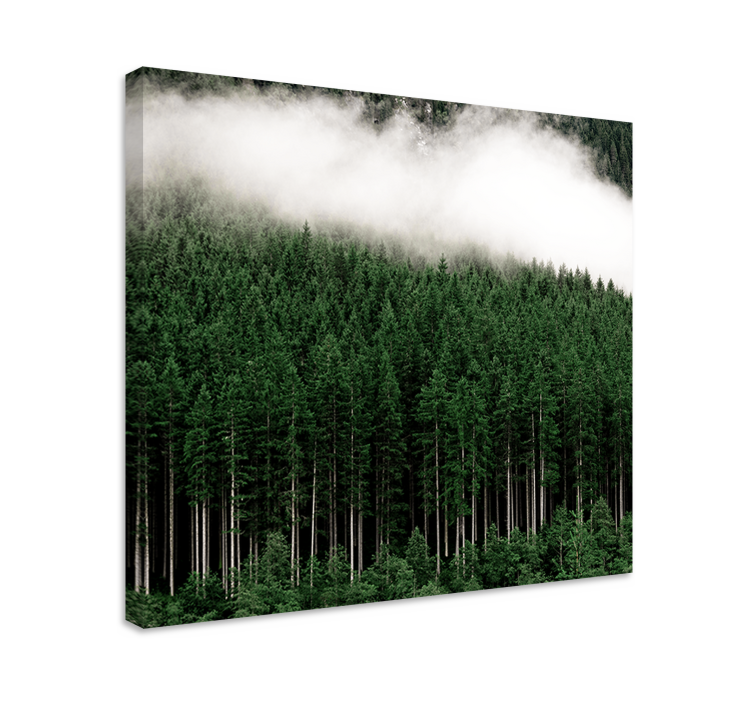 Misty evergreen forest tree canvas wall art - TenStickers