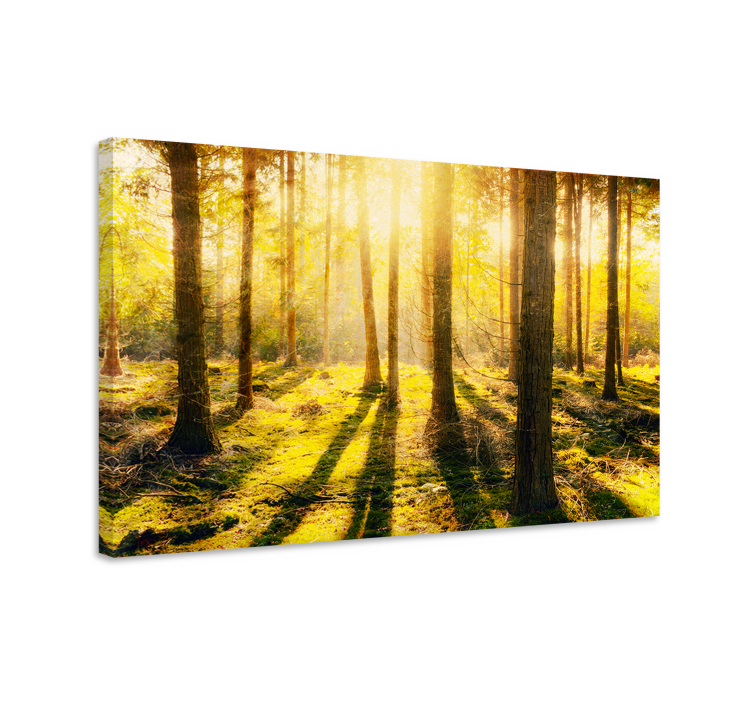 Sunny woodland view landscape canvas - TenStickers
