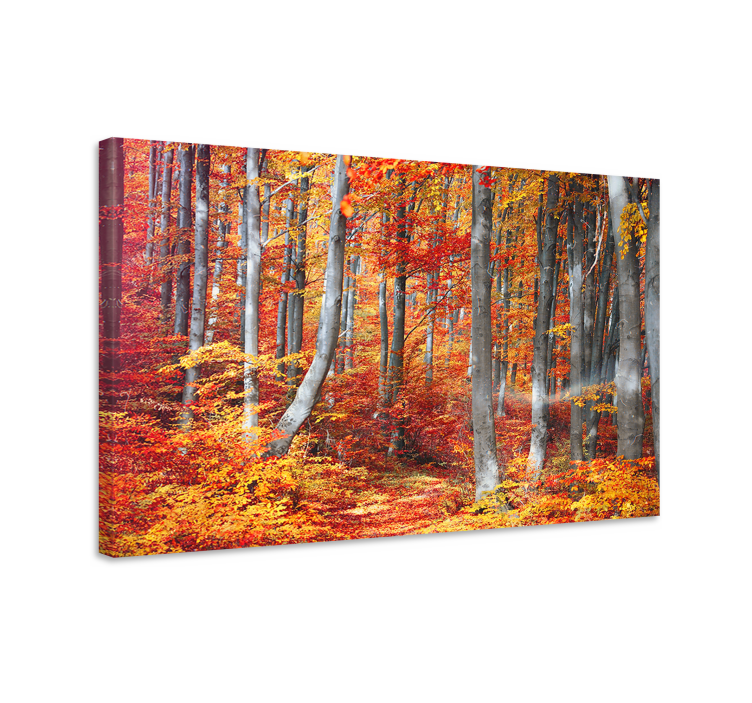 Colourful red old forest landscape canvas - TenStickers