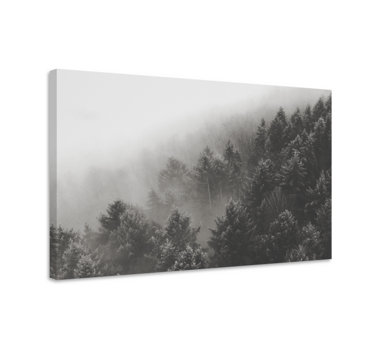 Forest with white pines 3D canvas prints - TenStickers