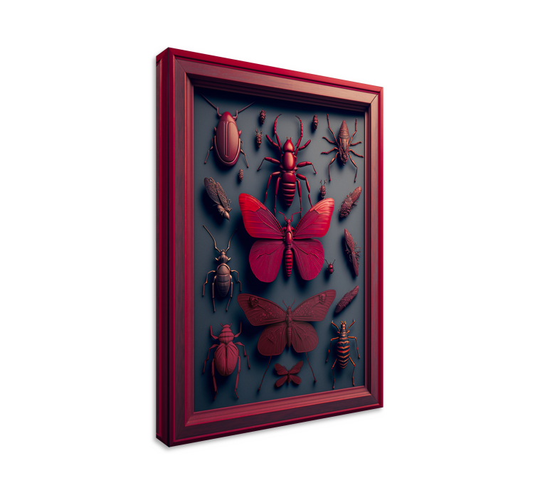 Framed Insect Collection canvas art - TenStickers