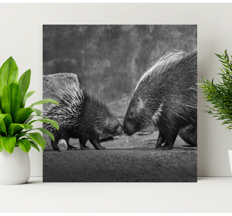 Animal canvas wall art porcupine interaction - TenStickers