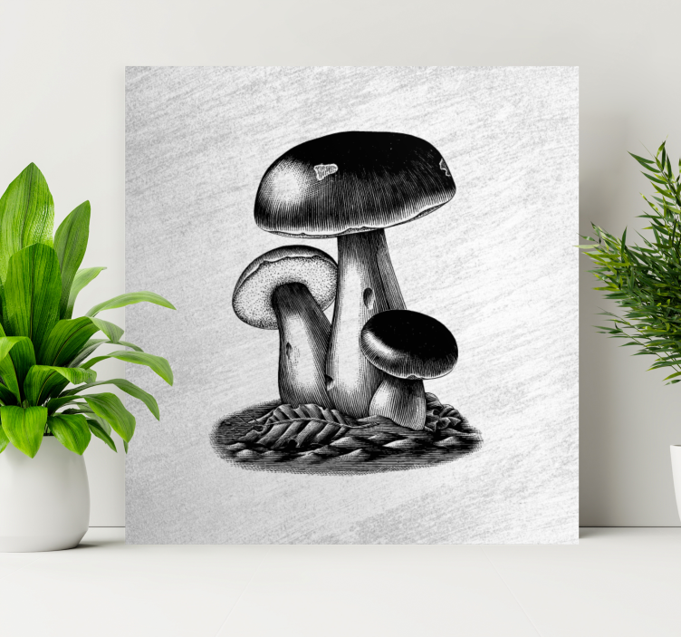 Antique engraving of mushrooms kitchen print - TenStickers