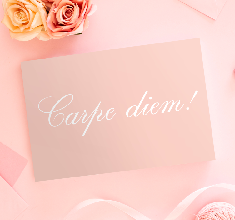 Carpe diem delicate letters motivational canvas - TenStickers
