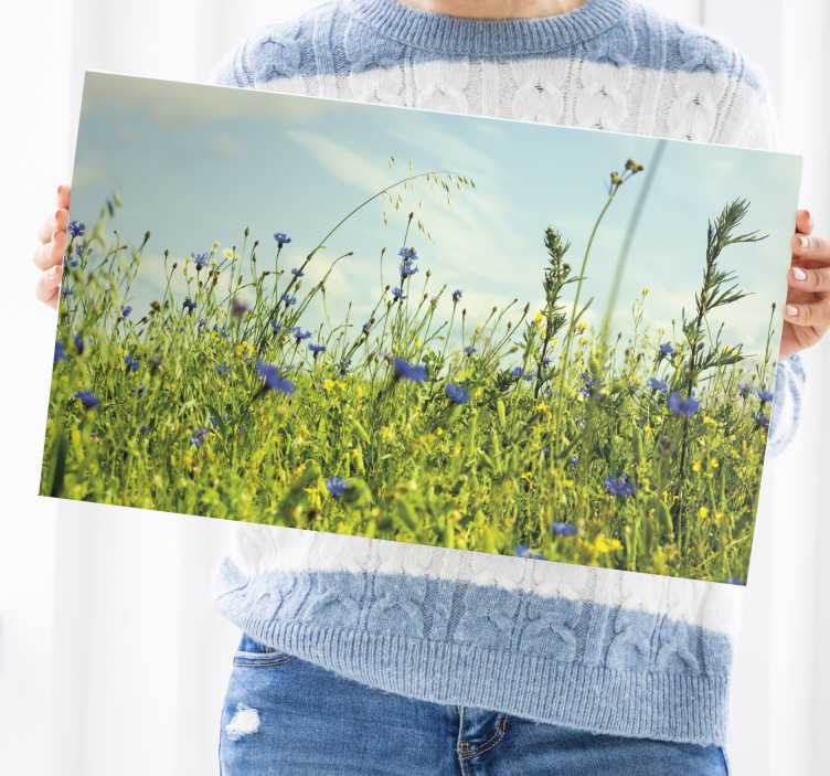 cornflower field picture flower canvas - TenStickers