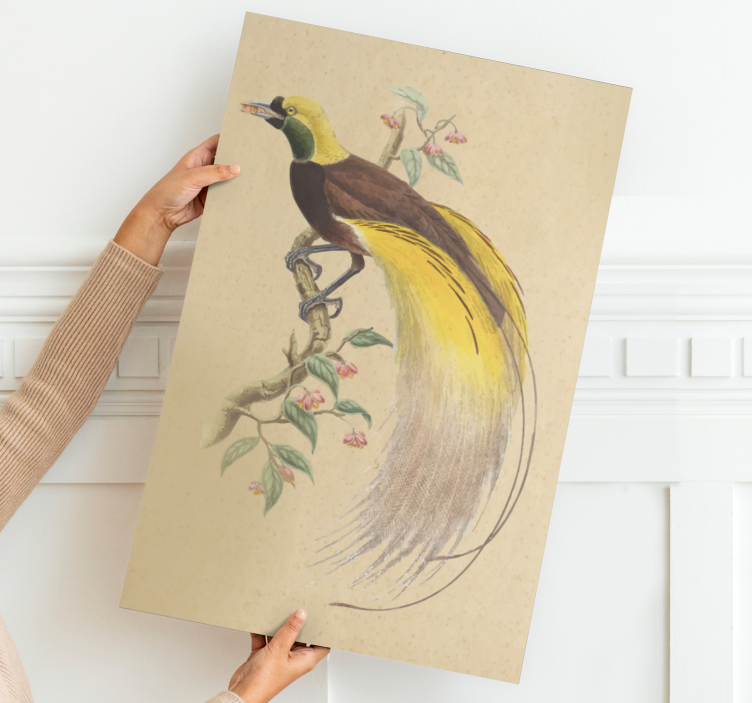 Exotic Perched bird canvas wall art - TenStickers