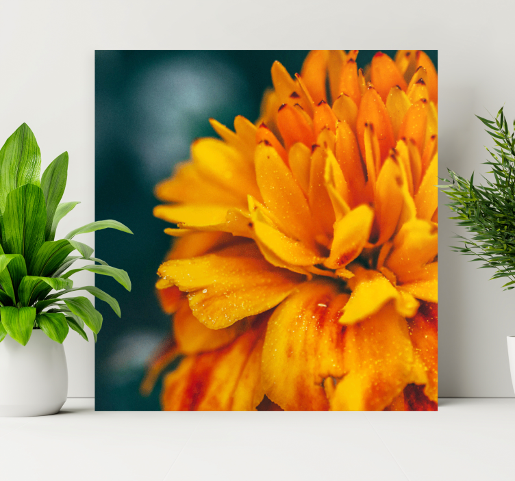 Flower canvas vibrant orange blossom artwork - TenStickers