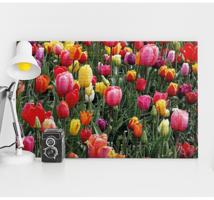 Flowers canvas colorful tulip blossoms - TenStickers