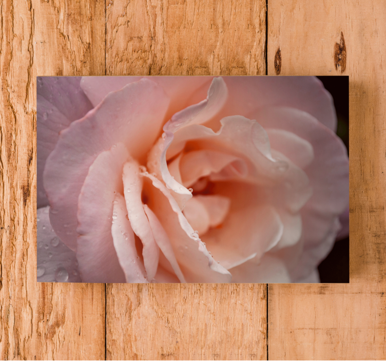 Flowers canvas delicate rose bloom artwork - TenStickers