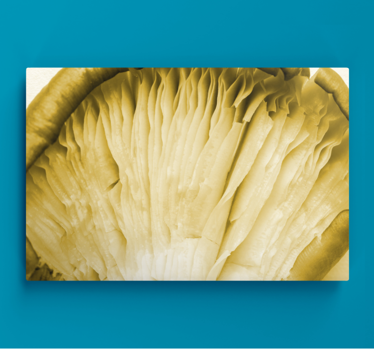 Flowers canvas mushroom gills art print - TenStickers