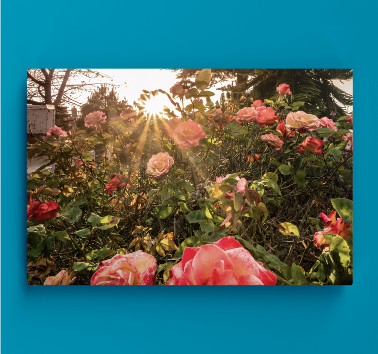 Flowers canvas radiant rose blossoms - TenStickers