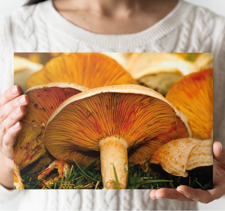 Flowers canvas with mushroom accents - TenStickers