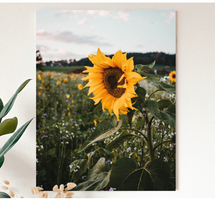 Sunflower Field Flowers  canvas - TenStickers